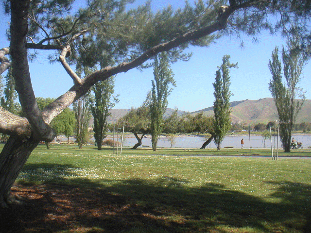 poto2-Lake-Elizabeth.gif (230099 bytes)